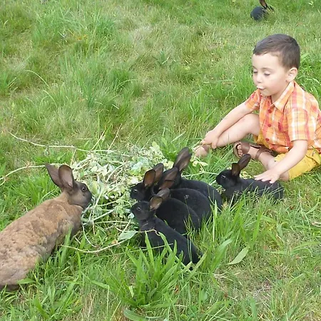 Bed & Breakfast D'hotes Familiales A Vecoux, Nature Et Activites - Fr-1-589-739 Vecoux